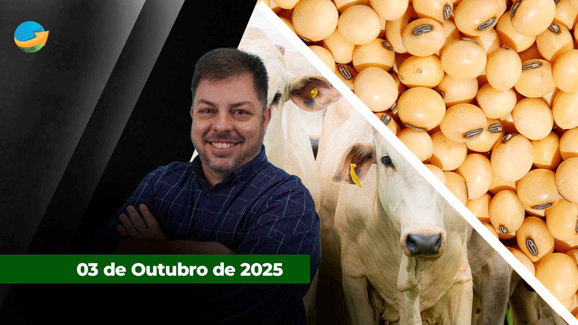 Pecuaristas encerram a semana reduzindo oferta de animais em SP; Grão , farelo e óleo de soja têm dia de queda em Chicago