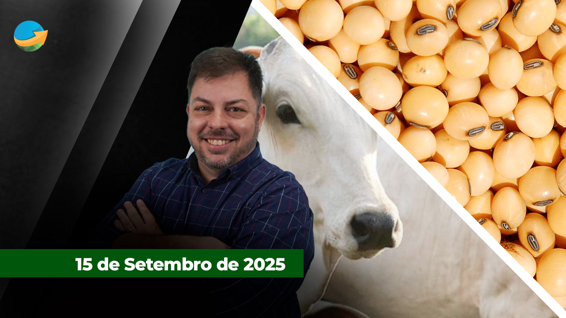 Semana começa travada para os negócios com o boi em SP; Soja entra em compasso de espera sobre acordo China X EUA