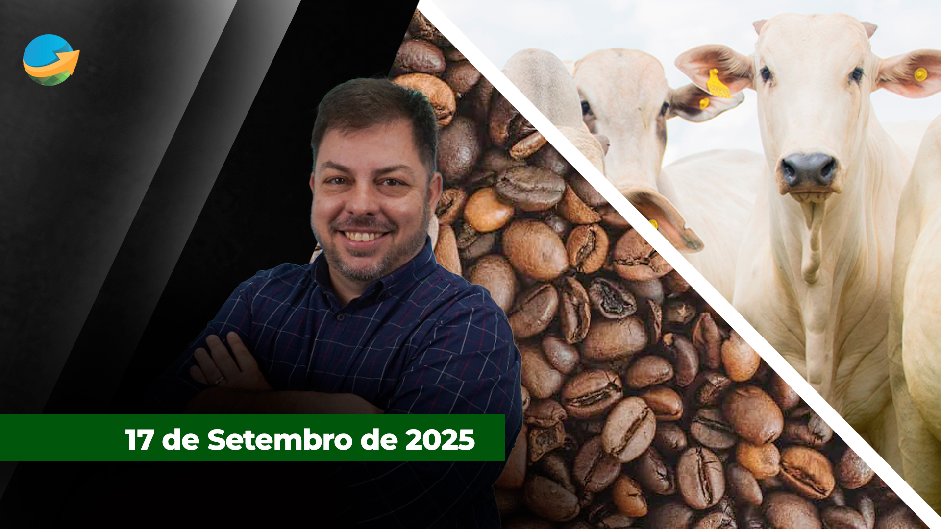 Mercado físico do boi em SP perde referência dos R$310/ @;  Café recua mais de 3 mil pontos em NY com previsão de chuva no Brasil